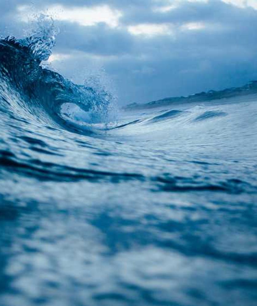 Güneş Gözlüğü Premium